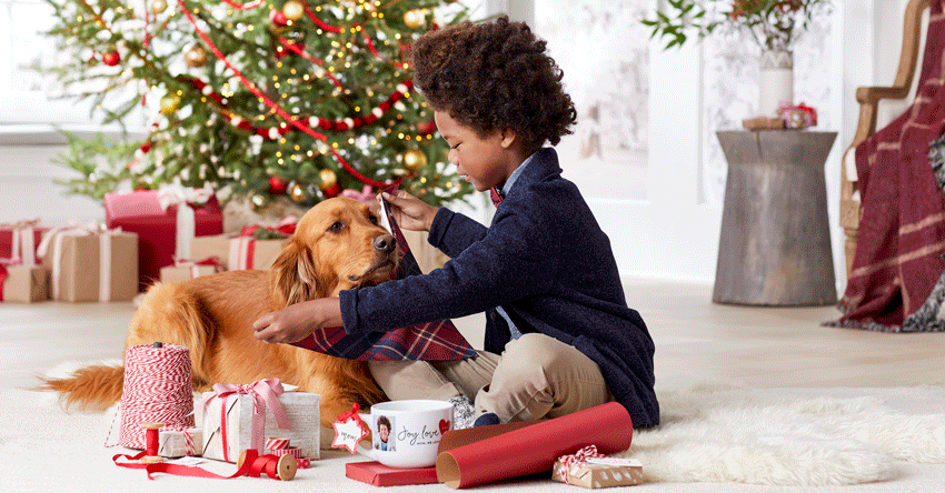 18_q4_sfly_life_holiday_animation_bandana_myles